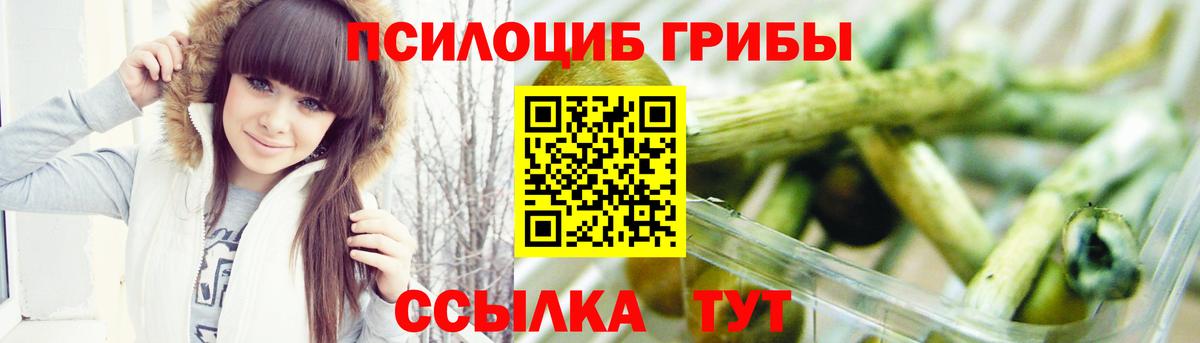Псилоцибиновые грибы прущие грибы Заволжье